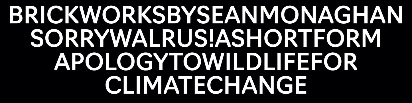 Sleeve decoration close up.