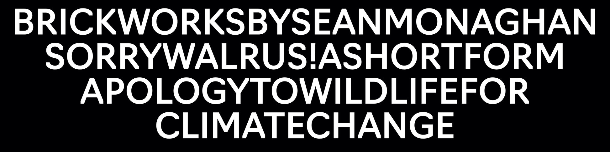 Sleeve decoration close up.