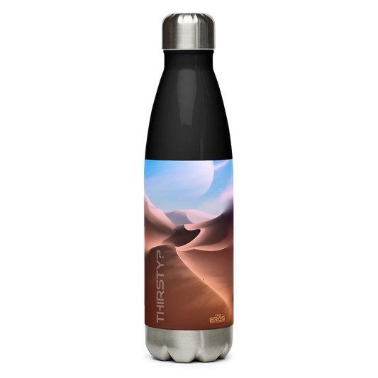 Stainless steel water bottle