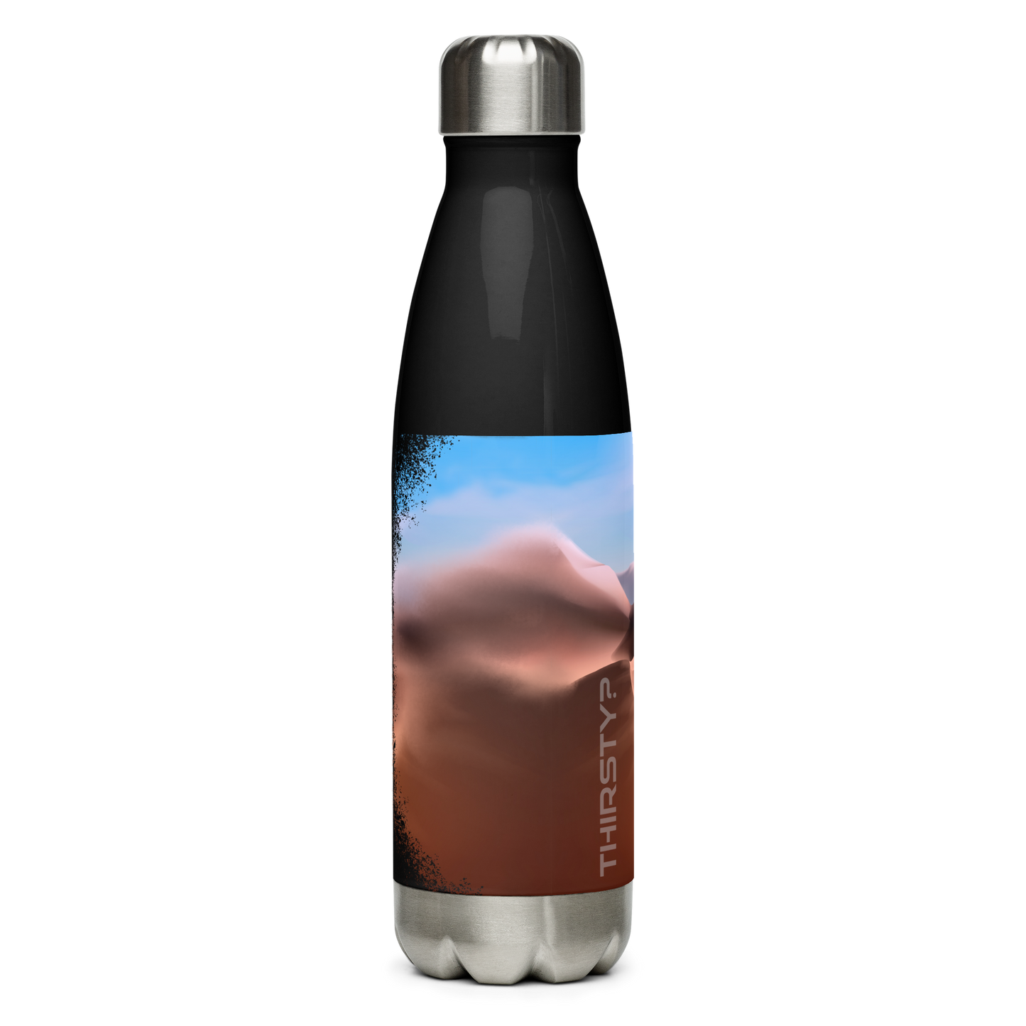 Stainless steel water bottle